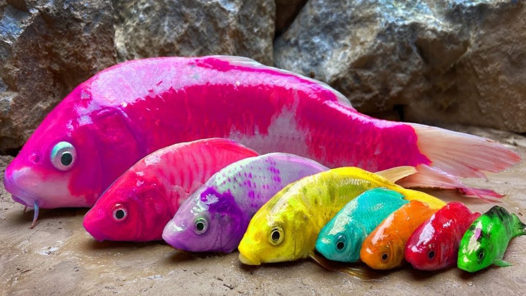 Koi Fish Hunting Pink Eel – Stop Motion Mukbang Experiment Colorful Carp Funny Unusual CookingðŸ”´LIVE