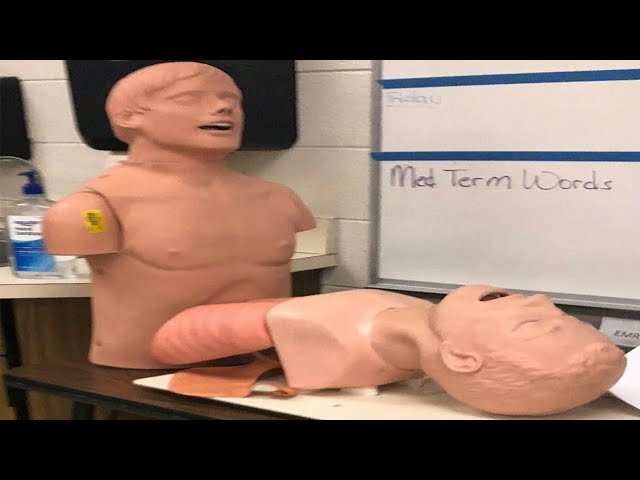 if you laugh your humor is broken