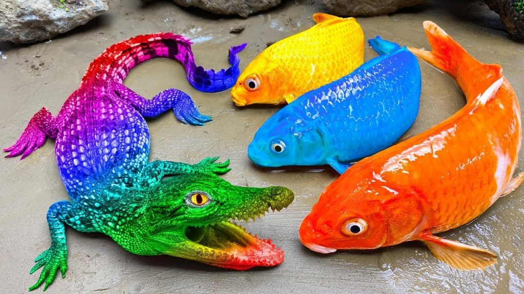 Cooking ASMR Crocodile Funny Fish Experiment Colorful Reds Koi Hunting Eel in Mud Mukbang Catfish