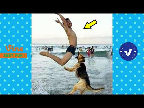 AWW NEW FUNNY Videos 2022 ● Cute People doing stupid things Part 16