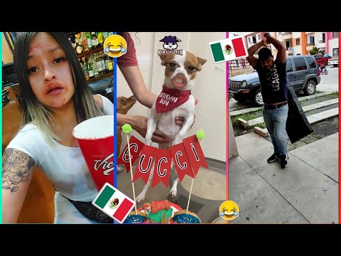 🚨PURO HUMOR MEXICANO #221🚨 Si Te Ríes Pierdes Nivel TikToks😍🤣🔥HUMOR VIRAL 🇲🇽