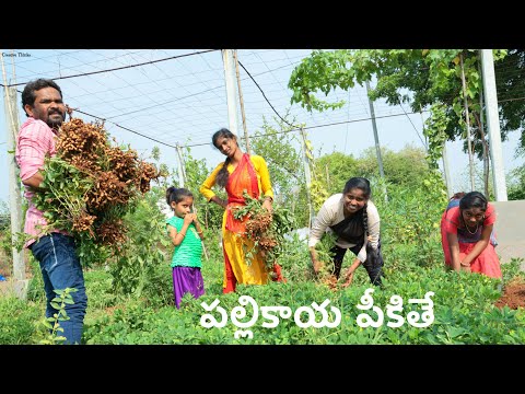 Maa life la memu Pikina Palli 🤣 | Village funny 😆