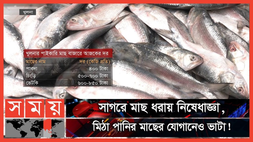 বাজারে কমলো সামুদ্রিক মাছের সরবরাহ | Fish Market | Khulna | Business News | Somoy TV