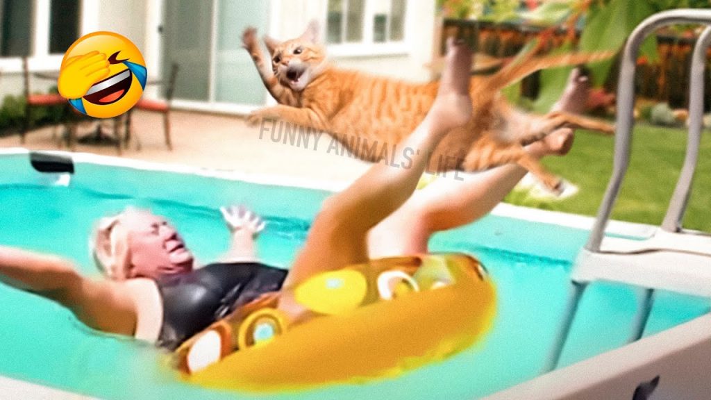Best Funny Animal Videos 2022 😺 – Funniest Dogs And Cats Videos 😁😇