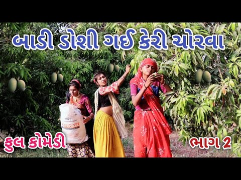 બાડી ડોશી ગઈ કેરી ચોરવા ભાગ 2 | comedian Vipul | gujarati comedy