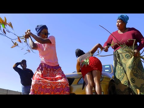 THE DESTROYER (ZIM COMEDY)