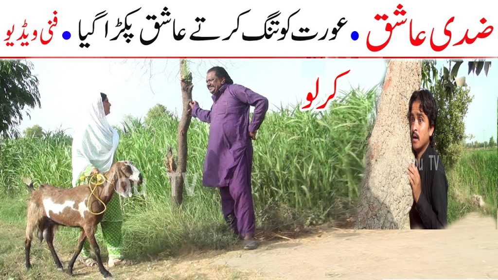 #Funny Video Zidi Ashiq Kilro Funny Video | New Top Funny | Must Watch New Comedy Video 2022 |You Tv