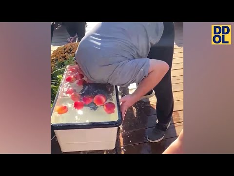 TRY NOT TO LAUGH WATCHING FUNNY FAILS VIDEOS 2022 #211