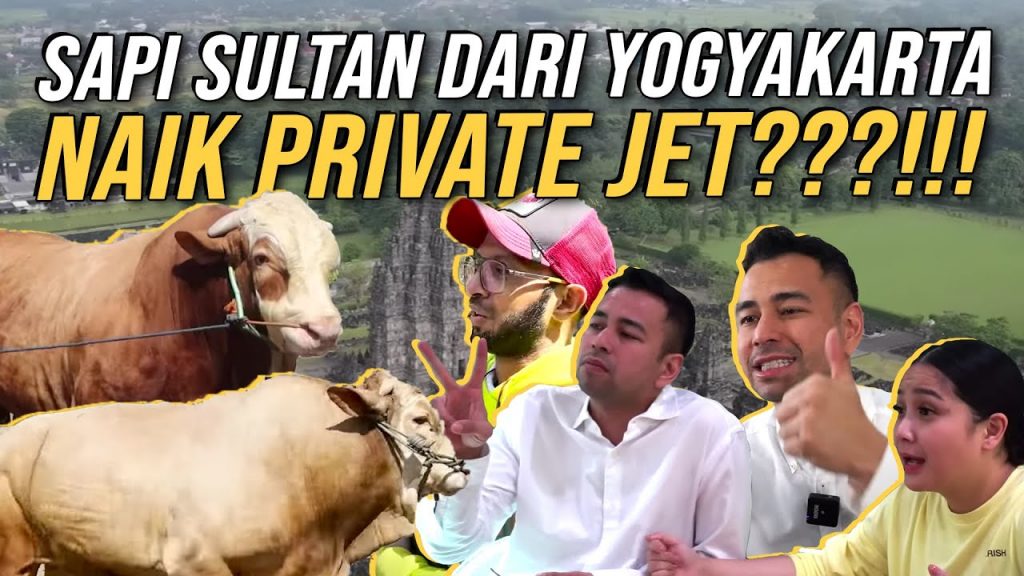 RAFFI NAGITA CARI SAPI SAMPE KAKI GUNUNG MERAPI!!! SEMUA LANGSUNG DIBORONG BUAT KURBAN