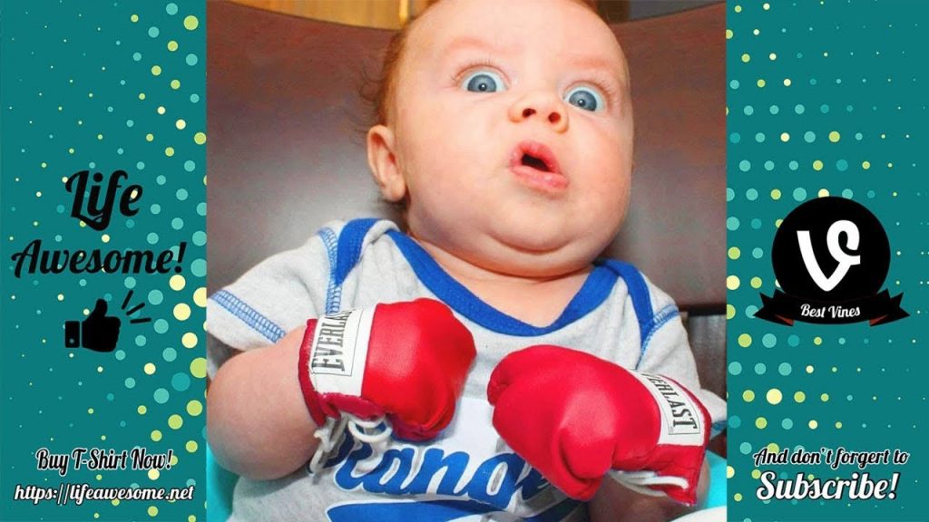 Try Not To Laugh Funny Videos – Best Funny Fails Compilation