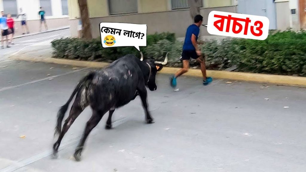 পশুপাখিদের আজব কর্মকাণ্ড ক্যামেরায় রেকর্ড হয়ে যায়😳 funny facts | facts bangla | osthir bengali