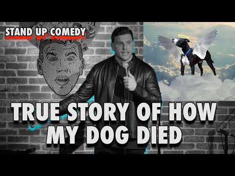 True Story of How My Dog Died | Chris Distefano | Stand Up Comedy
