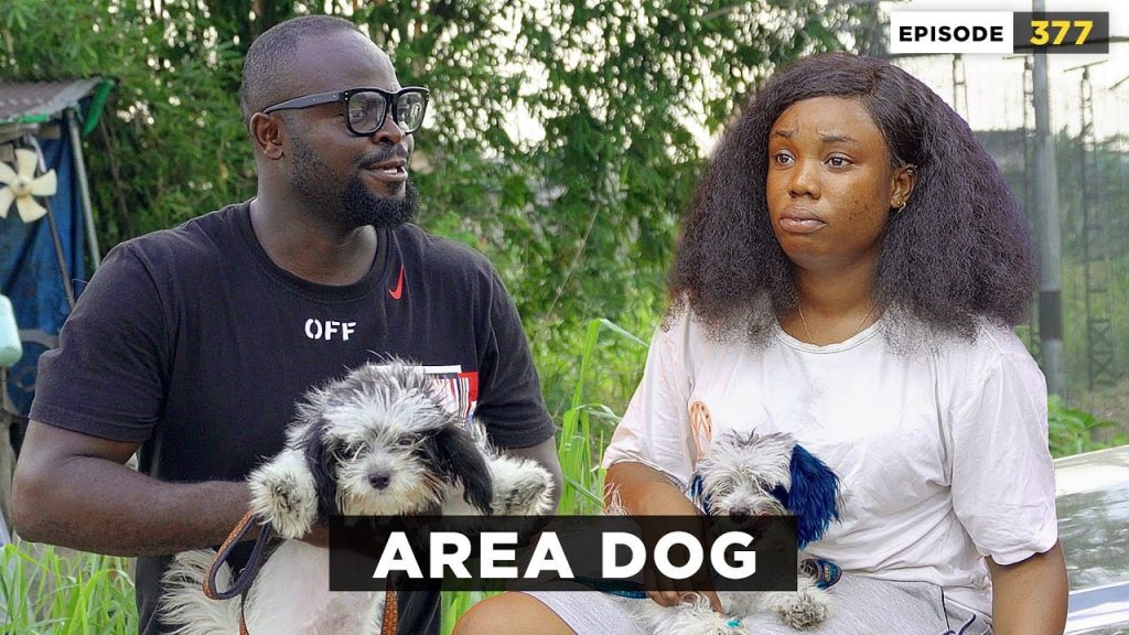 Area Dog – Episode 377 (Mark Angel Comedy)