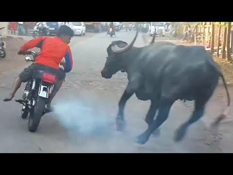 Try Not To Laugh Funny Videos – Funny Moments Of The Year Compilation  ðŸ˜†ðŸ˜†ðŸ˜† PART 131