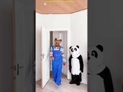 Dog chase Panda funny video 😂😂 TRY NOT TO LAUGH Wigofellas Pranks On Mom vs Junya1gou TikTok