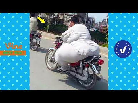 AWW New Funny Videos 2022 😂 Cutest People Doing Funny Things 😺😍 Part 18
