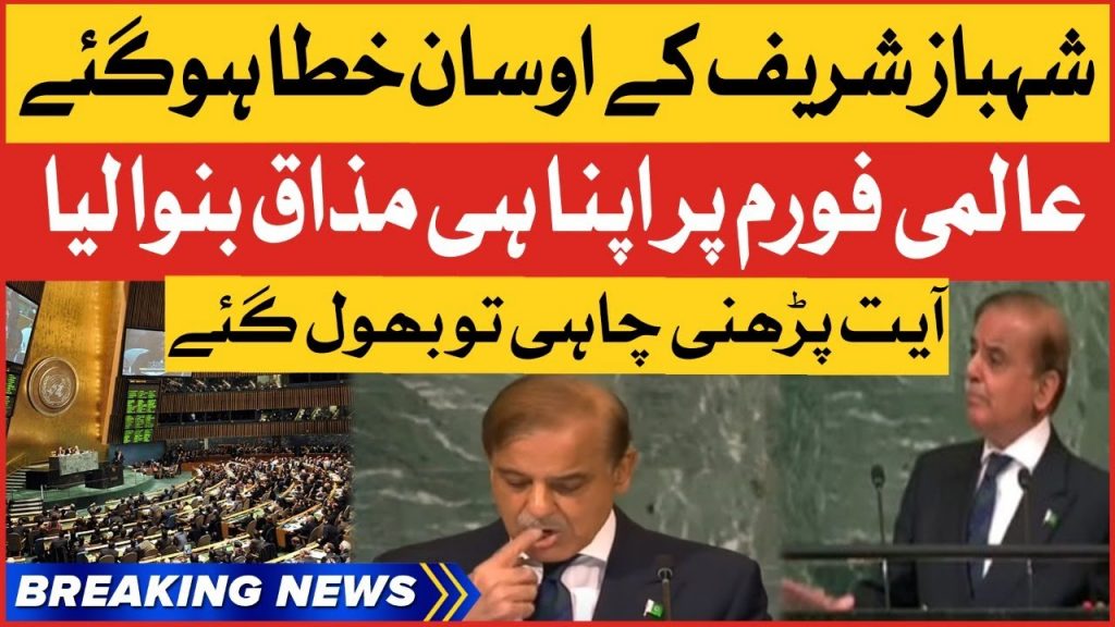 Shahbaz Sharif Made His Own Joke | PM Speech In United Nations | Breaking News
