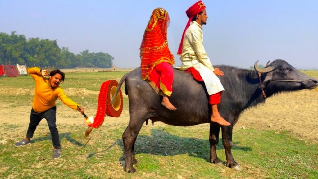 Must watch Very spacial New funny comedy videos amazing funny video 2022🤪Episode 110 by funny dabang