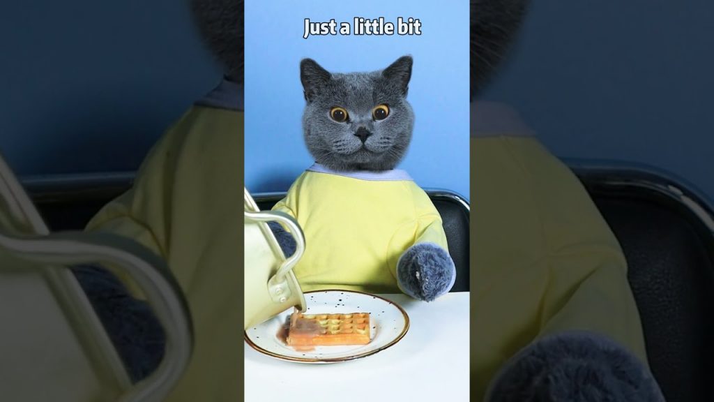 Grim Reaper: I Love Waffles! Don’t Waste!🧇🤣| Funny Cat TikTok #topperguild #funnycat #shorts