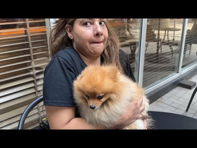 Kisi ka KUTTA Chura liya😂