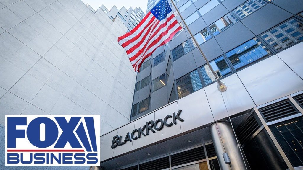 BlackRock’s ESG investments are a ‘drop in the bucket’: Vivek Ramaswamy