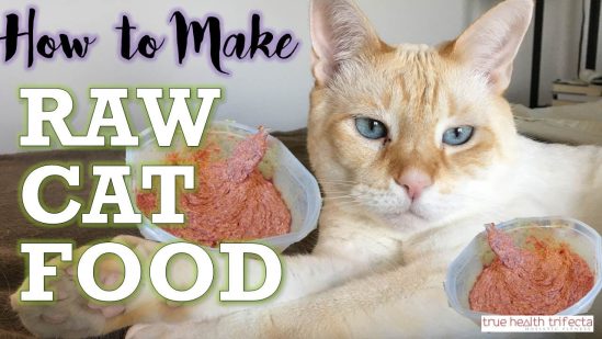 How to Make RAW CAT FOOD (RECIPE) – Homemade Cat Food for Healthy Cats