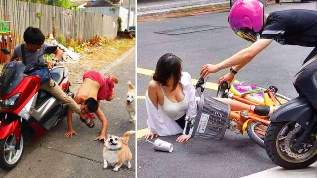AWW NEW FUNNY 😂 Funny Videos #441