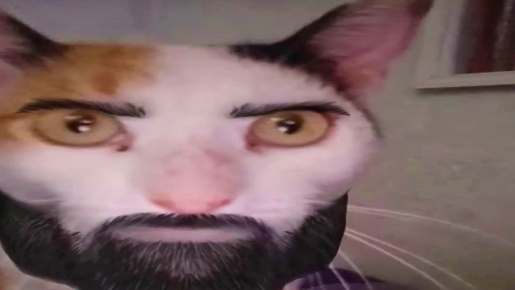 offensive memes that if ylyl v167
