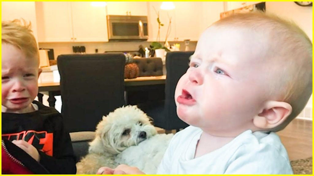 Best Video Of Funny Babies Reaction To Everything || Peachy Vines