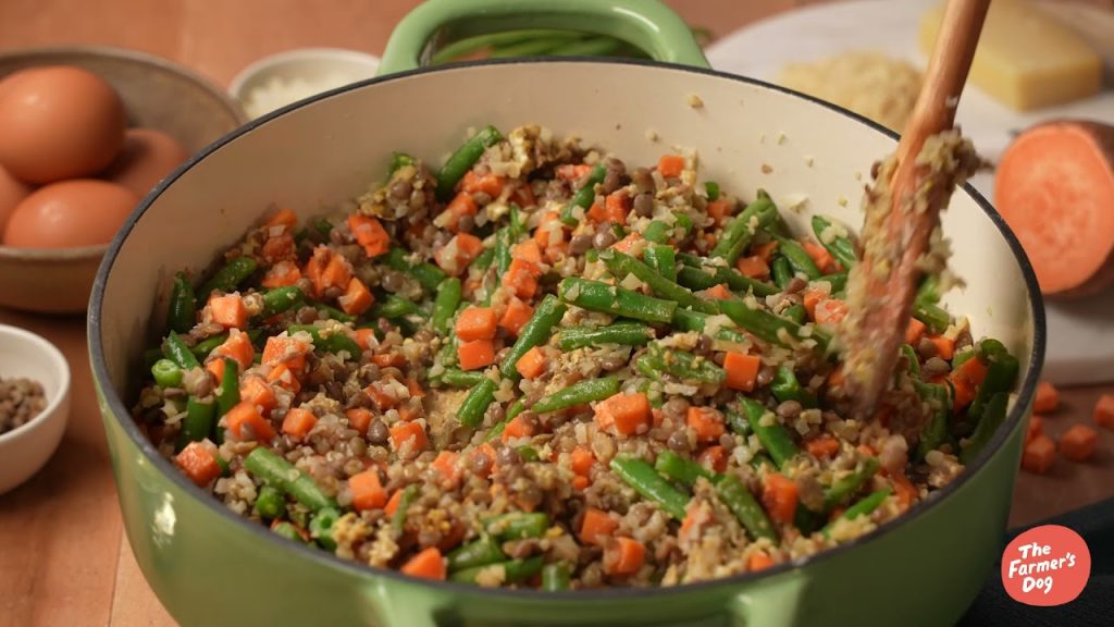 The Farmer’s Dog DIY: Homemade Salmon Dog Food Recipe