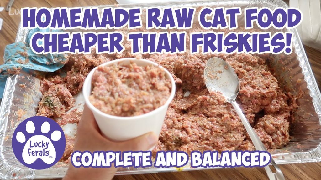 Homemade Raw Cat Food Recipe That’s Cheaper Than Friskies! S6 E3 Complete Balanced Raw Cat Food