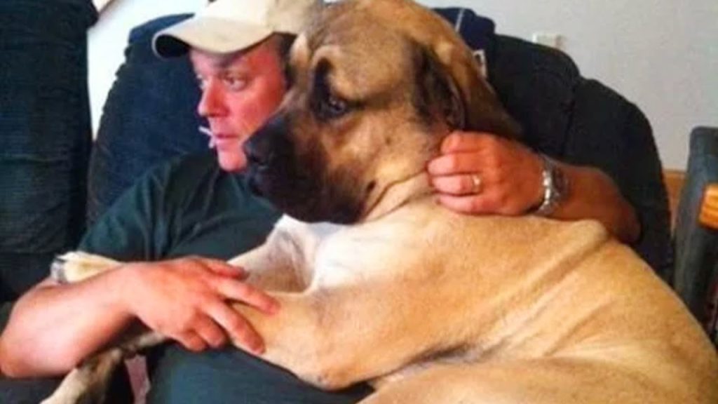 Never thought I’d be a dog person 🤣Funny Dog and Human