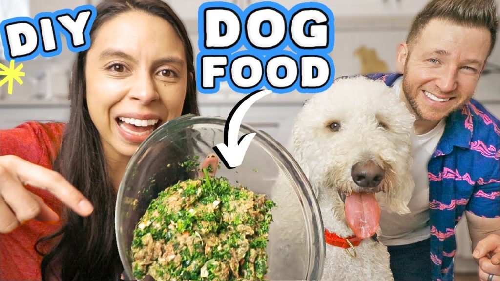 HOMEMADE DOG FOOD RECIPE 🐶 Healthy, easy & affordable!