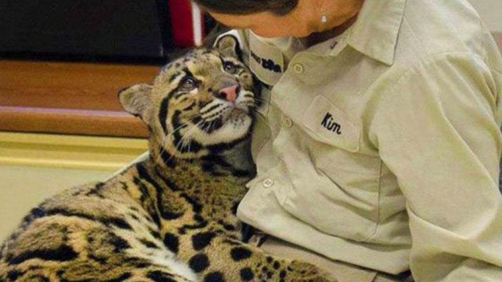 When Animals Showing Love to Human by Their Cute Way – Funny Animal Videos 2023!