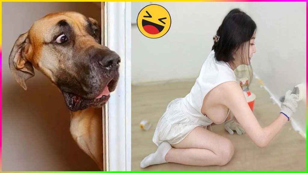 Funny Dog And Cat 😍🐶😻 Funniest Animals #231