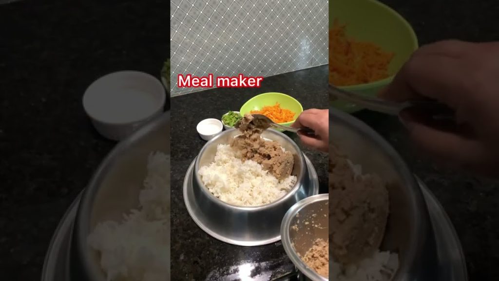 Homemade dog food recipe Tamil|how to prepare dog food recipe at home