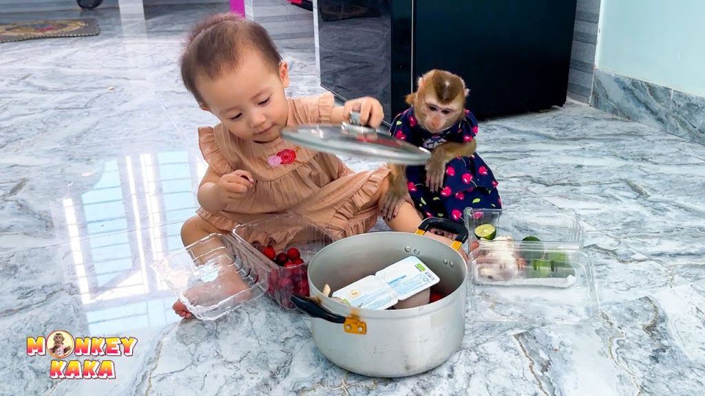 Monkey Kaka and baby Diem cooking together for mom is funny