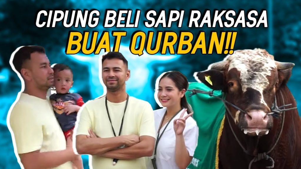 CIPUNG BELI SAPI 1.1 TON HASIL KERJA KERAS SENDIRI! RAFFI NAGITA SIAPIN PULUHAN SAPI BUAT QURBAN