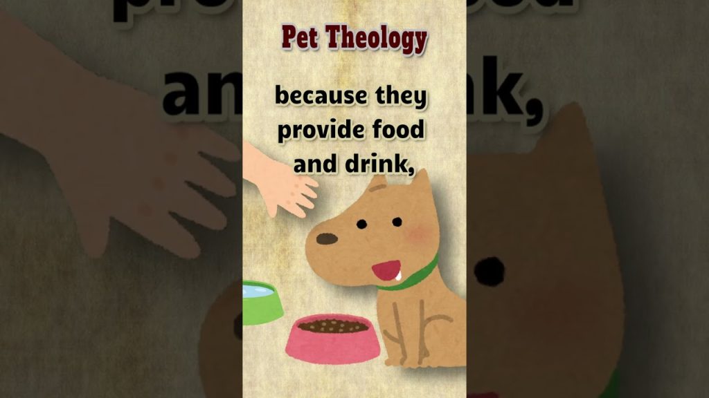 Pet Theology #joke #submission