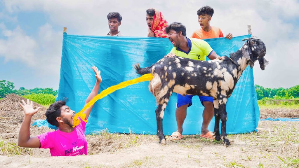 Must Watch New Entertainment Top Funny Video 2023 😂 Superhit Comedy 2023 Episode 92 By @HaHaidea