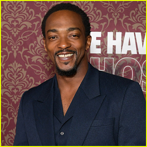 Anthony Mackie Really Wanted To Be Cast as Black Panther in the MCU