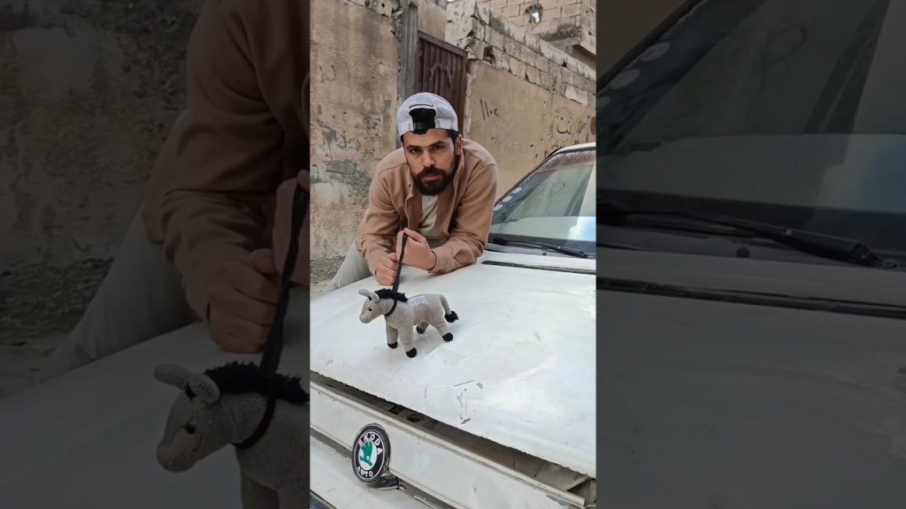 هههههههههههه مضحك جدا best in 2023 comedy show funny memes #mems #comedy #shorts #short