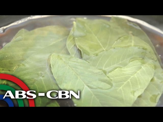 Salamat Dok: Health benefits of Guava Leaves | Cura Mula sa Nature