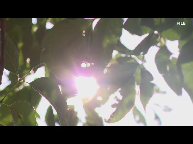 St. Louis doctor warns of health risks in extreme heat