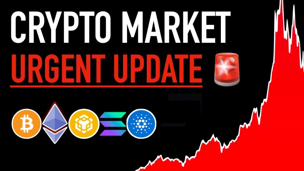 Crypto Crash! Urgent Update! 🚨