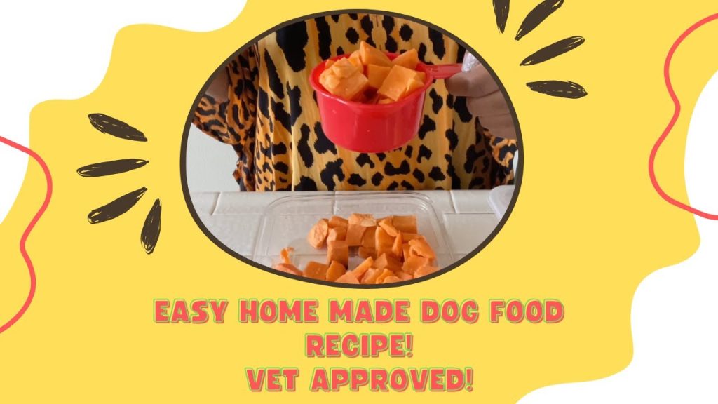 HOMEMADE DOG FOOD RECIPE THAT SAVED MY DOG’S LIFE! **VET APPROVED & EASY TO MAKE**. 😱