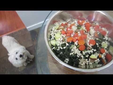 Dr. Ben’s Vegan Dog Food Recipe