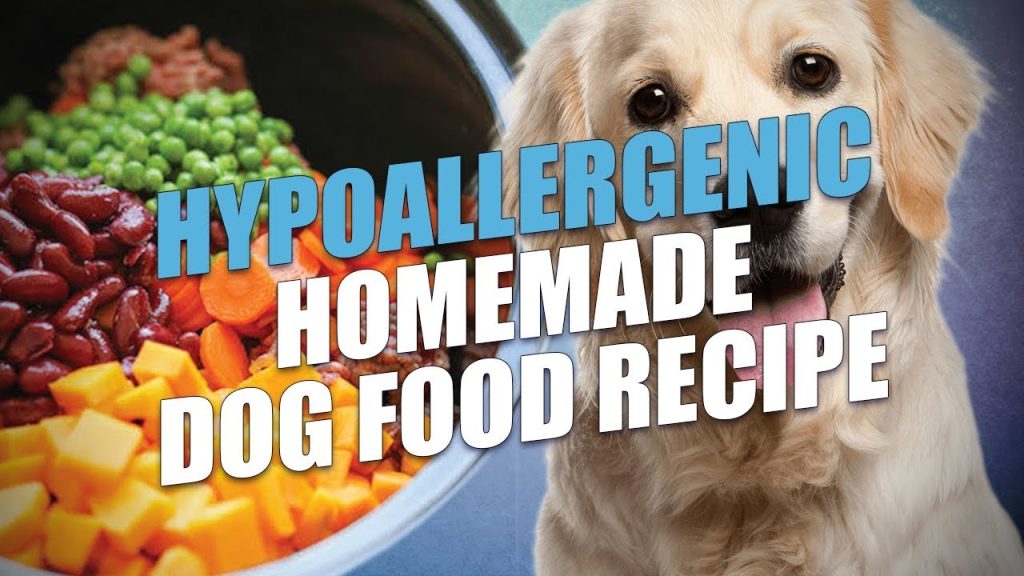 Hypoallergenic Homemade Dog Food Recipe