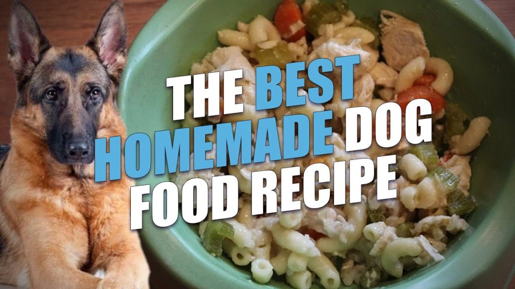 The Best Homemade Dog Food Recipe (Healthy and Cheap)