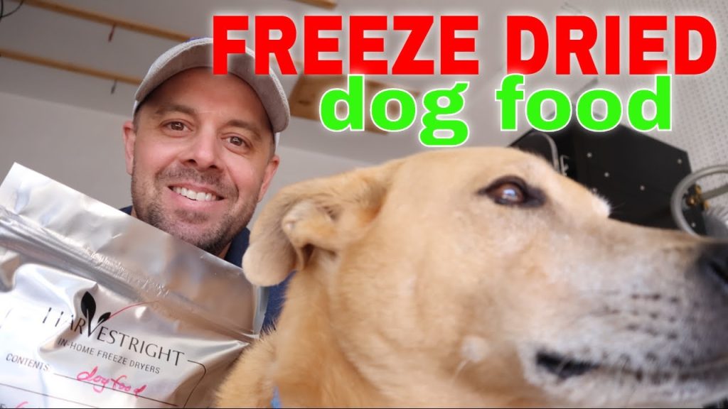 FREEZE DRIED DOG FOOD RECIPE –Homemade vs. Store Bought